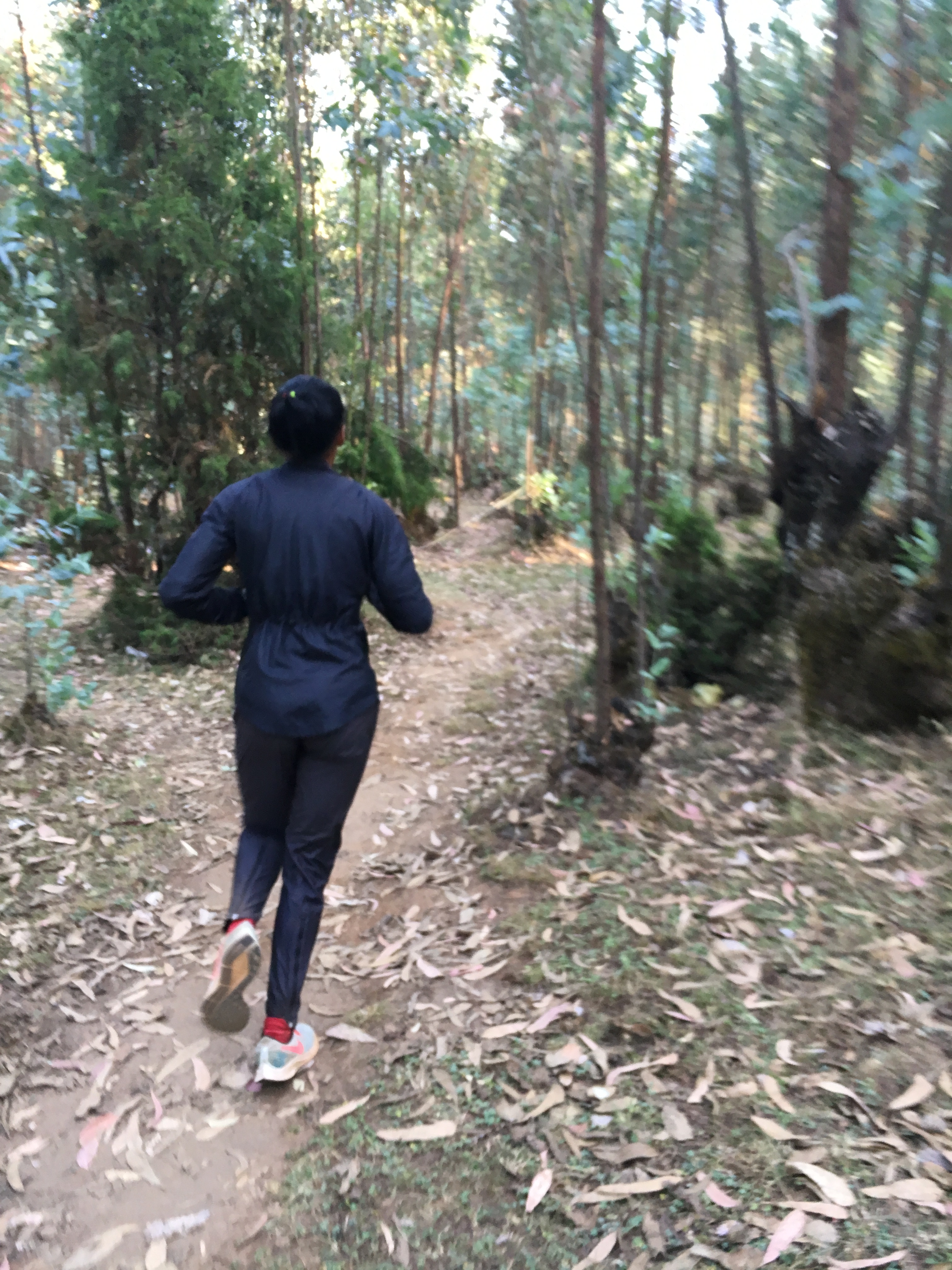 CE3AC541-F84F-4528-AA71-952C4D4679C0