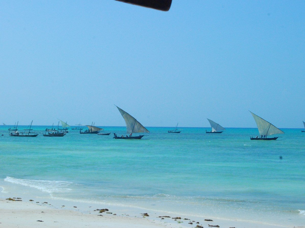 Zanzibar, Literally had to Force Myself to Leave&nbsp;(Tanzania)
