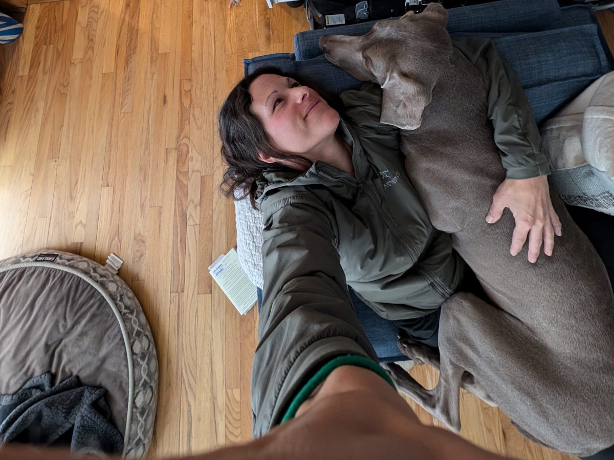 How to Pet Sit in the US and&nbsp;Travel